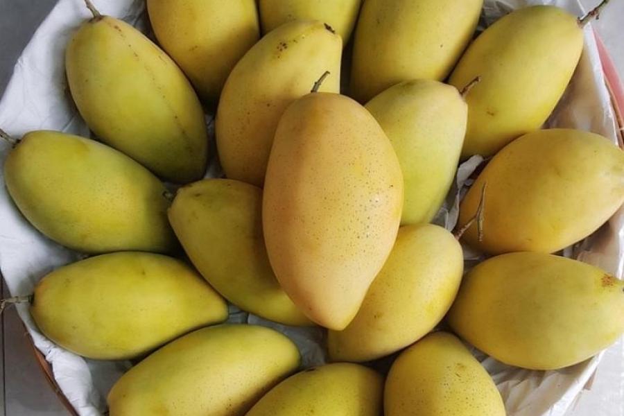 Câu chuyện về sản phẩm