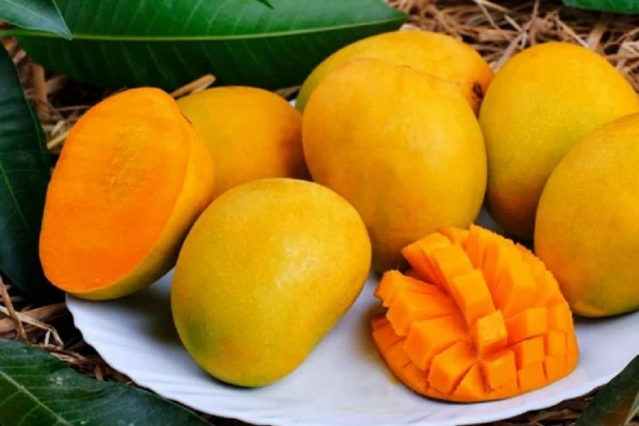 Những điều cần biết để tận dụng lợi ích tuyệt vời của xoài